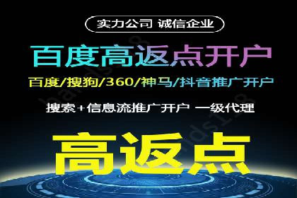 SEM代运营机构成功案例：优化策略与效果分析
